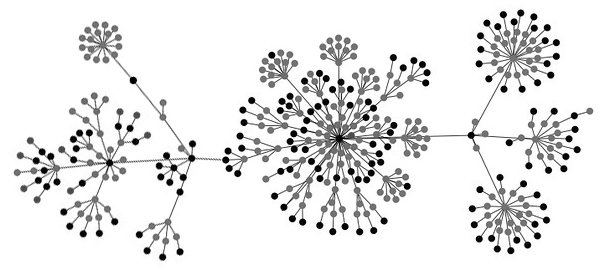 forex-ecn-structure